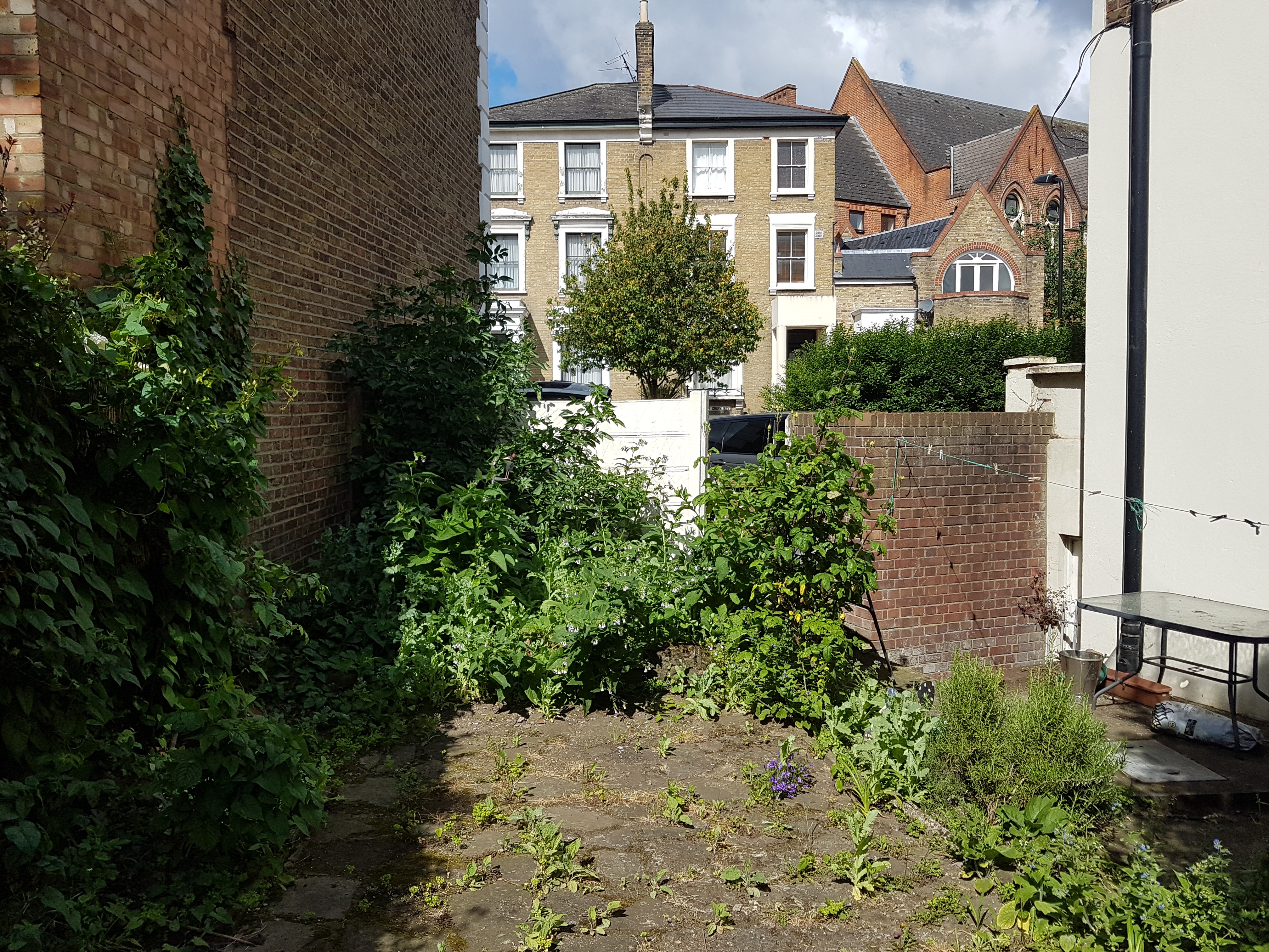 Site rear plot